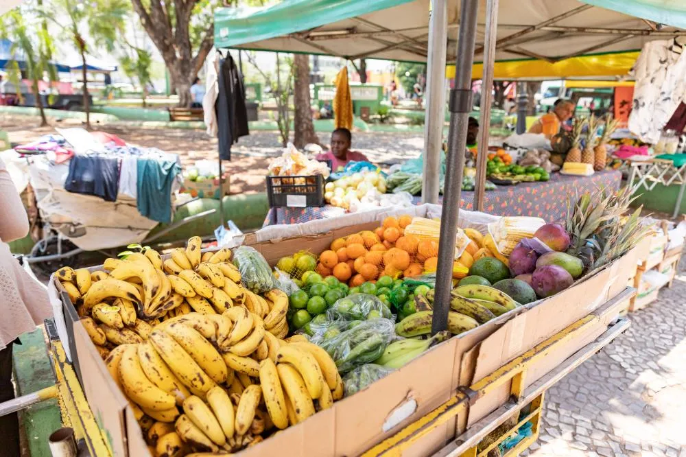 11ª Feira da Agricultura Familiar movimenta a Praça Alencastro nesta segunda