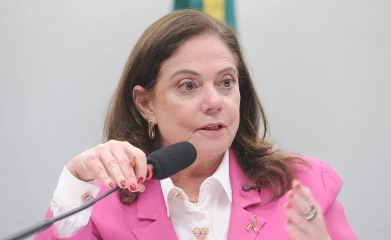 Comissão debate impacto escolar da falta de laudo adequado sobre neurodesenvolvimento de crianças 