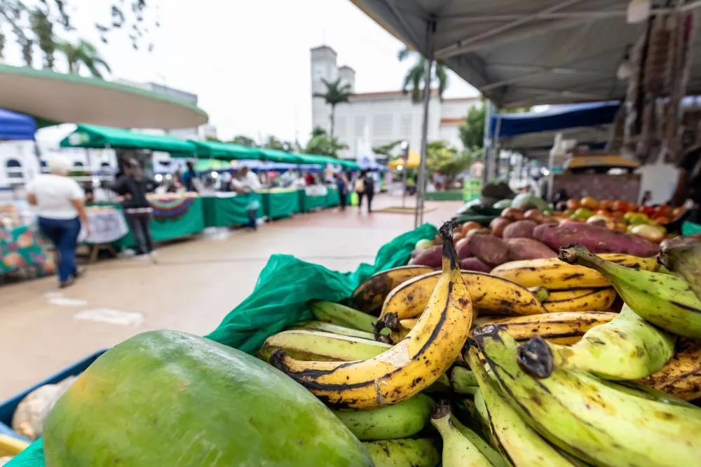 Praça Alencastro recebe a 9ª e última Feira da Agricultura Familiar de 2025