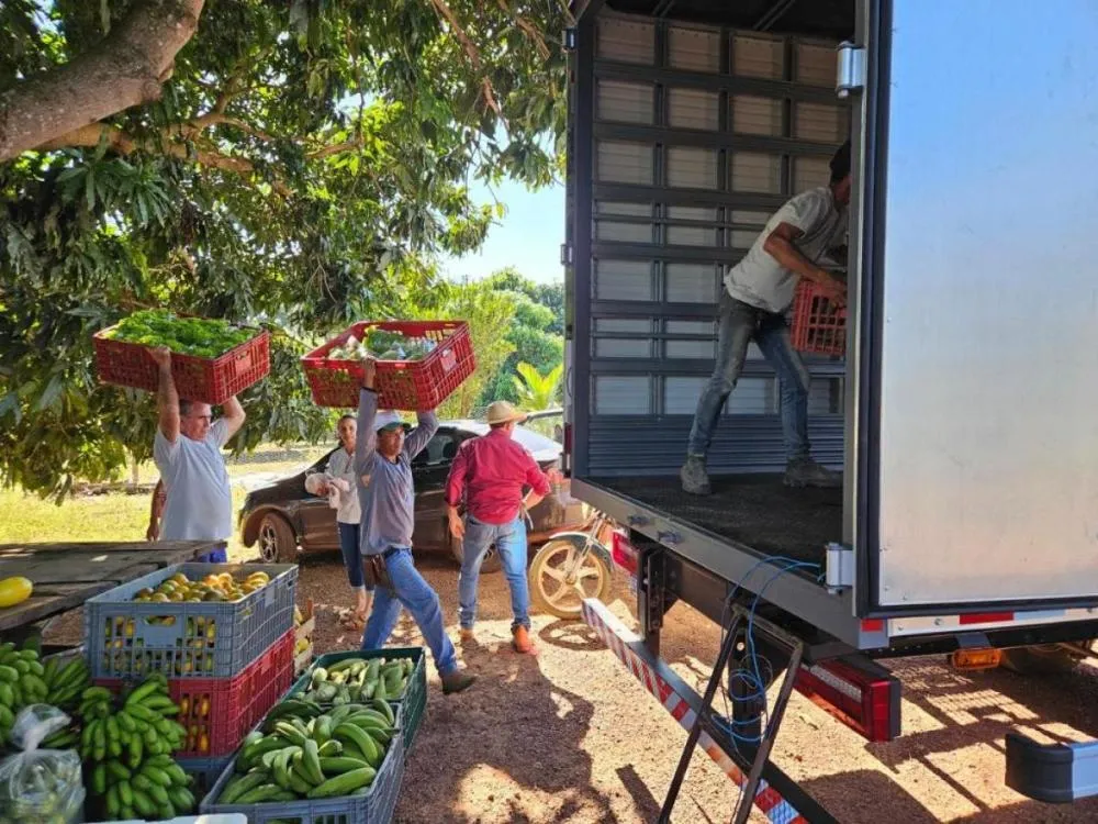 Políticas públicas ampliam produção de alimentos e transformam a agricultura familiar em MT