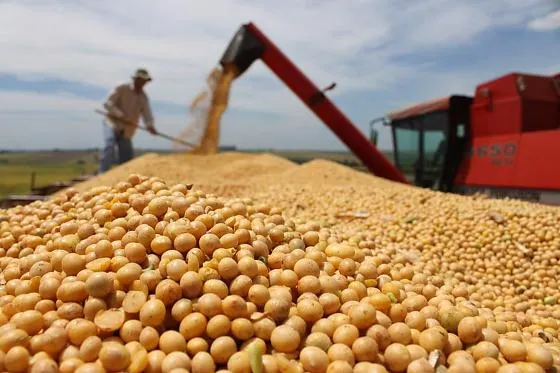 Brasil bate recorde histórico e colhe 346 milhões de toneladas de grãos