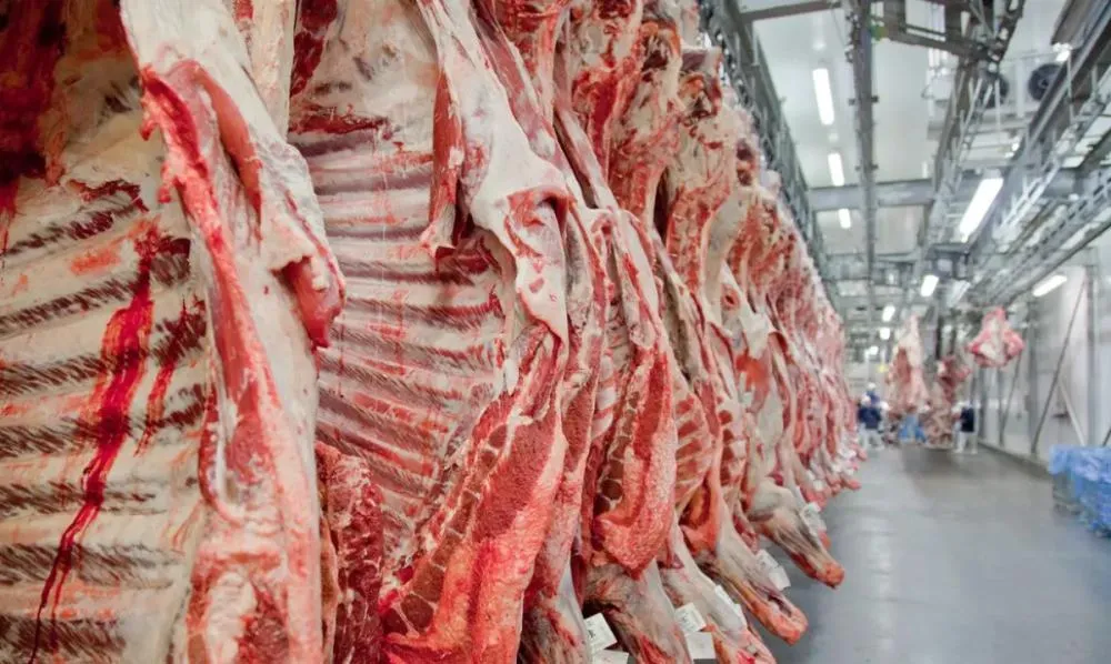 Seis frigoríficos de Mato Grosso são habilitados a exportar carne bovina para a Indonésia