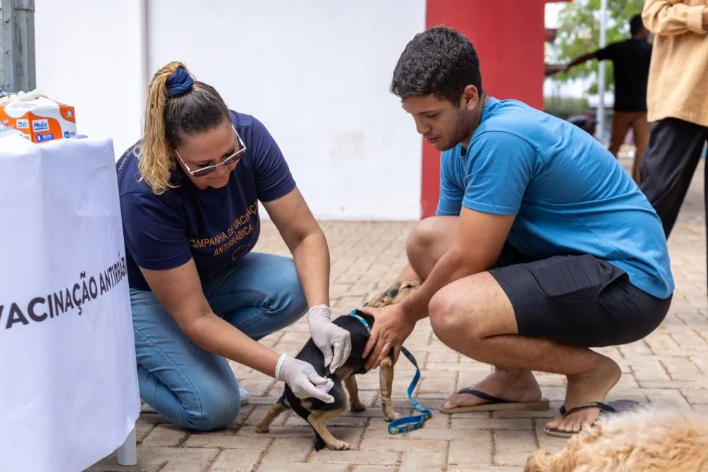 Dia D de Vacinação Antirrábica acontece neste sábado (27) em Rondonópolis